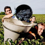 �����٫@�M��| 2015���M�־����Ĳ�������ݣ�