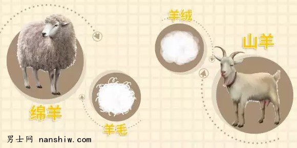 �r����ë������δ���������ֱ�ů��