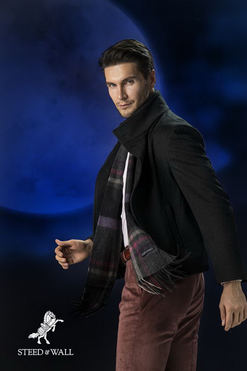 STEED & WALL��(qi��ng)�����v�Ϻ��d�I(y��)̫�ŅR ���쾫�����b�p��Ʒ��