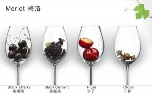 �������^���˶���(hu��)ϲ�g�����Ѿ�