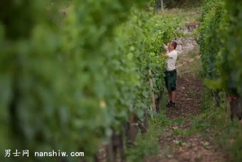 �@�������Ѿ���ֵ���㼚(x��)��Ʒζ