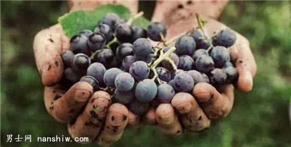 ��ʲô����Ҋ��17�ȵ����Ѿ���