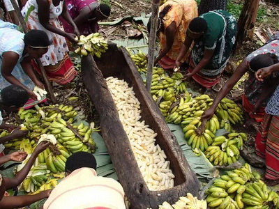 4�N�ؿ�ζ�ľ����o����ҺȆ���