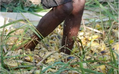 4�N�ؿ�ζ�ľ����o����ҺȆ᣿