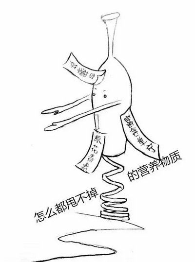 ��ʲô������X�t�Ʋ��ú�������ʲô���}��