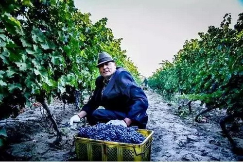 �Ⱦƿ��Y(ji��)����(l��i)��10�l�������@Щ��֪������