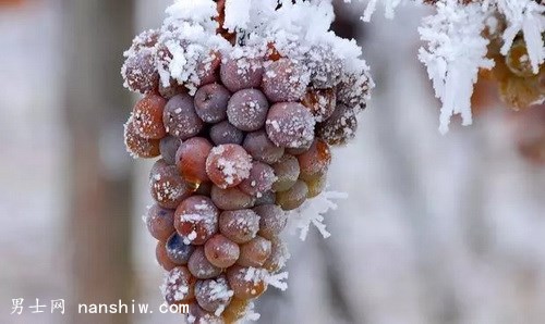 ʲô�Ǳ�������ʲô�u���@ô�F��