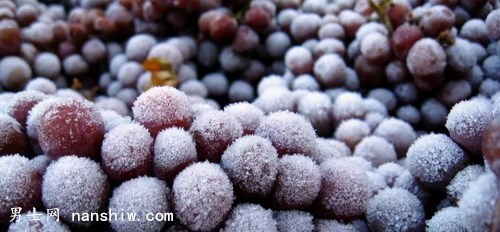 ʲô�Ǳ�������ʲô�u���@ô�F��