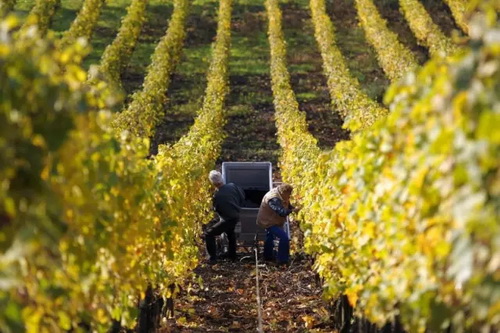 ���ѾƵ���ݣ������ز���Ҫ��