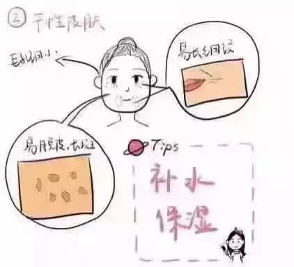 ����60���e�Լ����w�|(zh��)��׌������o(h��)�w��